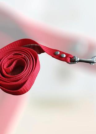 Поводок для собак 1.8мх2см/поводок нейлон/ поводок для собак/4 фото