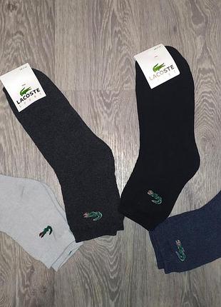 Чоловічі шкарпетки махрові lacoste, розміру 41-45, якісні шкарпетки лакості