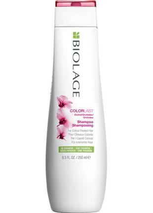 Шампунь matrix biolage colorlast shampoo для защиты цвета окрашенных волос 250 мл