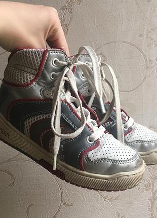 Кеды geox