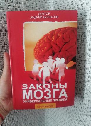 Курпатов законы мозга. универсальные правила, газетнпая бумага