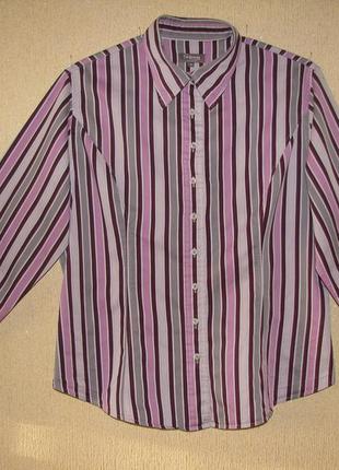 Стильна сорочка tm левін
