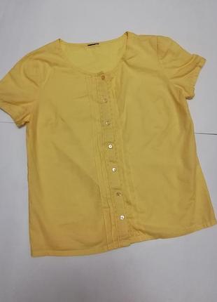 Легка ніжна блуза-футболка на гудзиках