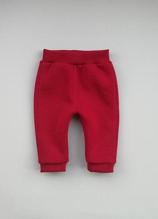 Теплі дитячі штани на флісі для малюків