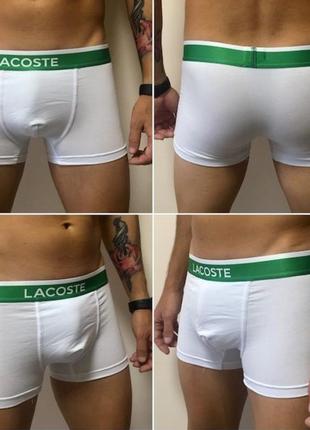 Трусы lacoste