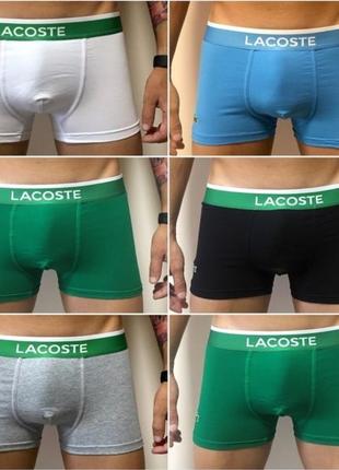 Трусы lacoste