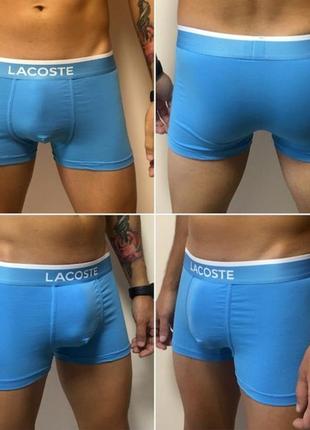 Трусы lacoste