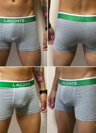 Трусы lacoste