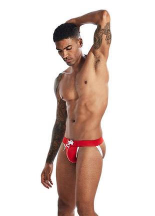 Джоки lanvibum красного цвета с белыми резинками