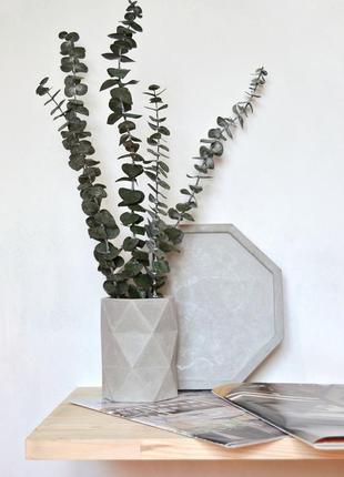 Стабілізований евкаліпт (5 гілок) у вазі з бетону "geometria"1 фото