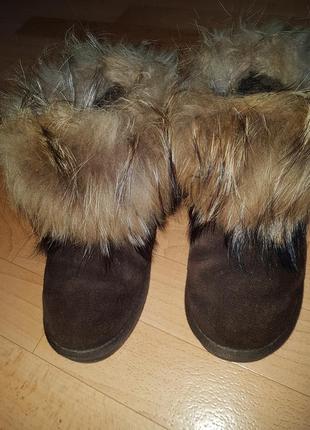 Продам натуральные  ugg 36 размер1 фото