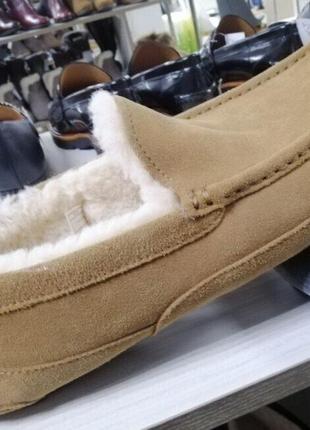 Мужские тапочки ugg ascot