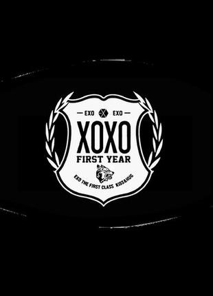 Маска защитная на лицо k-pop exo экзо 12х17 см (ms318)