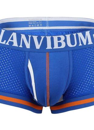 Трусы шорты lanvibum синие с брендированной резинкой. артикул: 04-09104 фото
