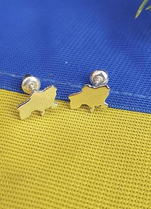 Пусеты ката украины