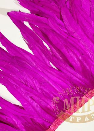 Тесьма перьевая петух, цвет fuchsia (перья 30-35см)*0,5м3 фото