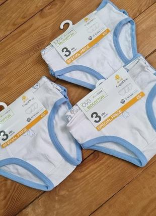 Комплект трусиков для мальчика из 3 штук, рост 74 (9-12 мес.), цвет белый, голубой