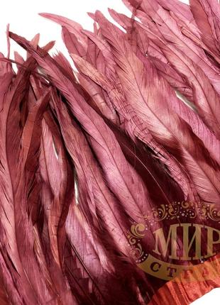 Тесьма перьевая петух, цвет burgundy (перья 30-35см)*0,5м
