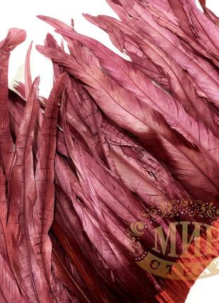 Тесьма перьевая петух, цвет burgundy (перья 30-35см)*0,5м3 фото