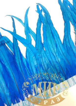 Тесьма перьевая петух, цвет blue zircon (перья 30-35см)*0,5м