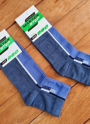 Шкарпетки чоловічі, розмір 27 / 41-43, колір синій