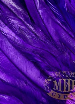Тесьма перьевая петух, цвет purple (перья 30-35см)*0,5м3 фото