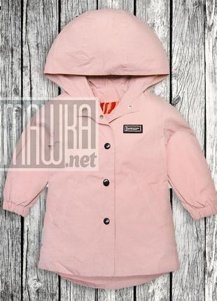 Детская 80 (74) 9-12 мес удлинённая ветровка куртка парка для девочки малышей с капюшоном тонкая 6065 розовый