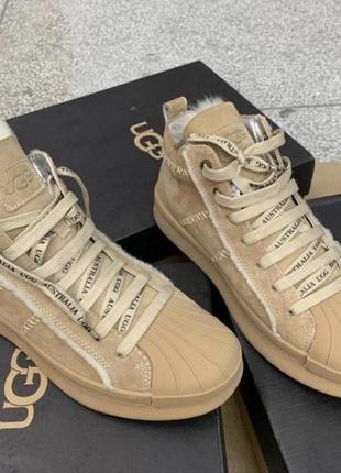 Ugg угги кеды тёплые 2022