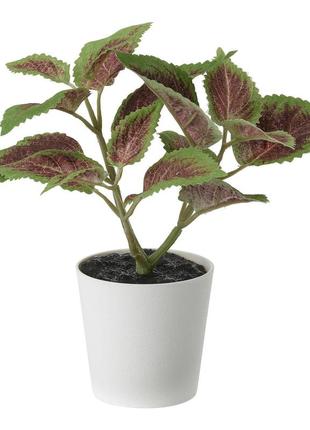 Ikea fejka  искусственное растение в горшке, комнатное / дачное solenostemon (104.966.08)