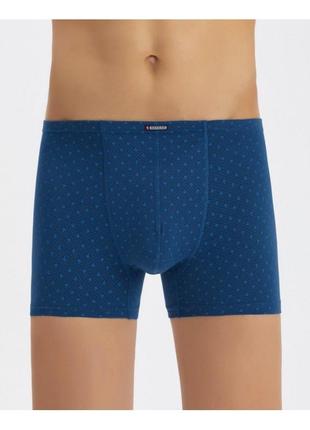 Боксеры baykar для мужчин арт. 1174-04