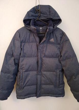Adidas зимняя куртка на холлофайбере — цена 650 грн в каталоге Пуховики ✓  Купить мужские вещи по доступной цене на Шафе | Украина #26072459