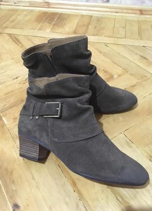 Замшеві черевики, чоботи clarks