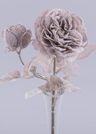 Квіти роза англійська засніжена з бутоном №5061