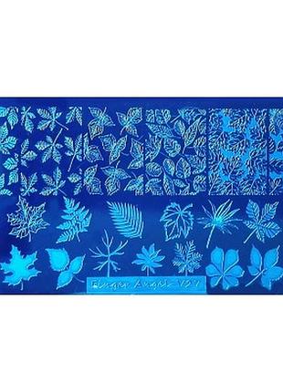 Пластина для стемпінгу mart 009