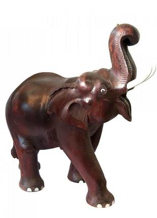 Слон деревянный резной (50х50х24 см)
