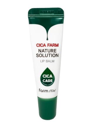 Бальзам для губ з центелою азіатською farmstay cica farm nature solution lip balm1 фото