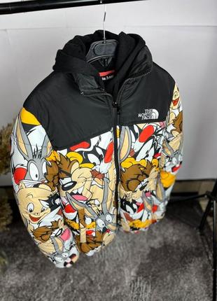 Зимняя курточка tnf2 фото