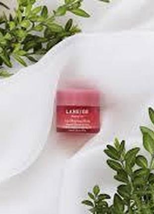 Нічна маска для губ laneige lip sleeping mask (berry) 3 мл9 фото