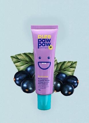 Бальзам для губ відновлюючий pure paw paw blackcurrant 25g1 фото