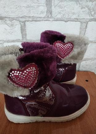 Сапоги сапожки ботаніки