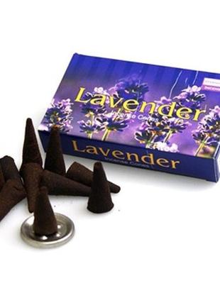 Набір пахощів darshan конуси 70 шт lavender (лаванда) 21725d