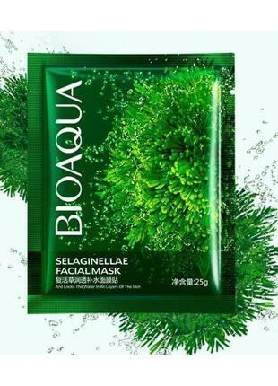 Тканевая маска-салфетка для лица с селагинеллой bioaqua selaginellae facial mask (25г)