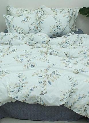 Комплект постельного белья на односпальную кровать из турецкого ранфорса с компаньоном r-t92581 фото