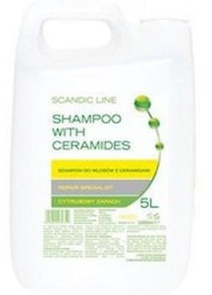 Шампунь для пошкодженого волосся ceramid, profis, 5000ml1 фото