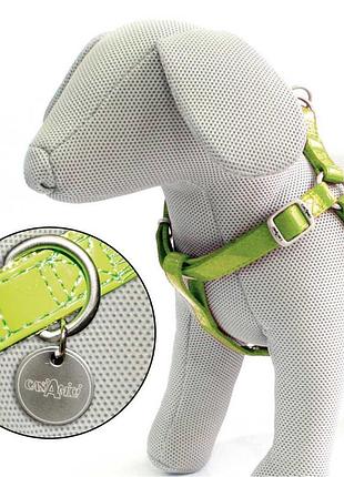 Шлея для собаки leatherette, салатовий лак, шкірозамінник / нейлон, 50-75х2см