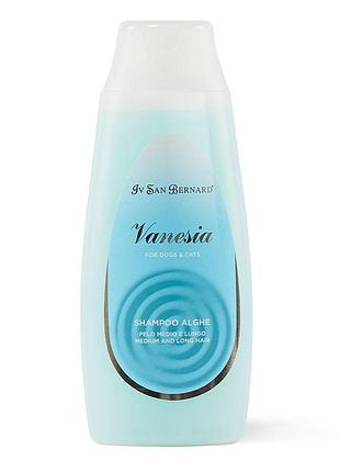 Шампунь iv san bernard alga, з водоростями для середньої та довгої шерсті котів і собак, 300мл