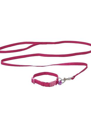 Набір нашийник + поводок для кота собаки mini, 2 кольори, нейлон, 16-24х0,8см / 0,8х120см