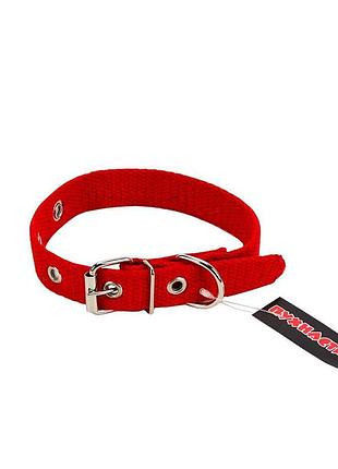 Нашийник  брезентовий   пухнастики, червоний   20 мм/38см