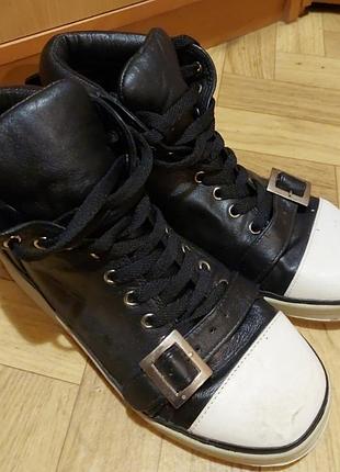 Кеди