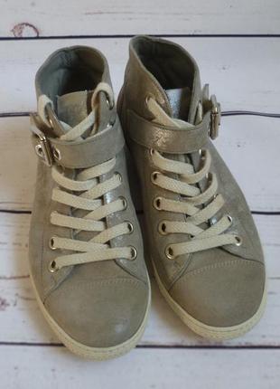 Ботинки кеды кожа серые paul green